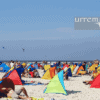 Eine Strandmuschel mit in den Urlaub nehmen