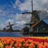 Holland Urlaub Niederlande Sehensw&uuml;rdigkeiten