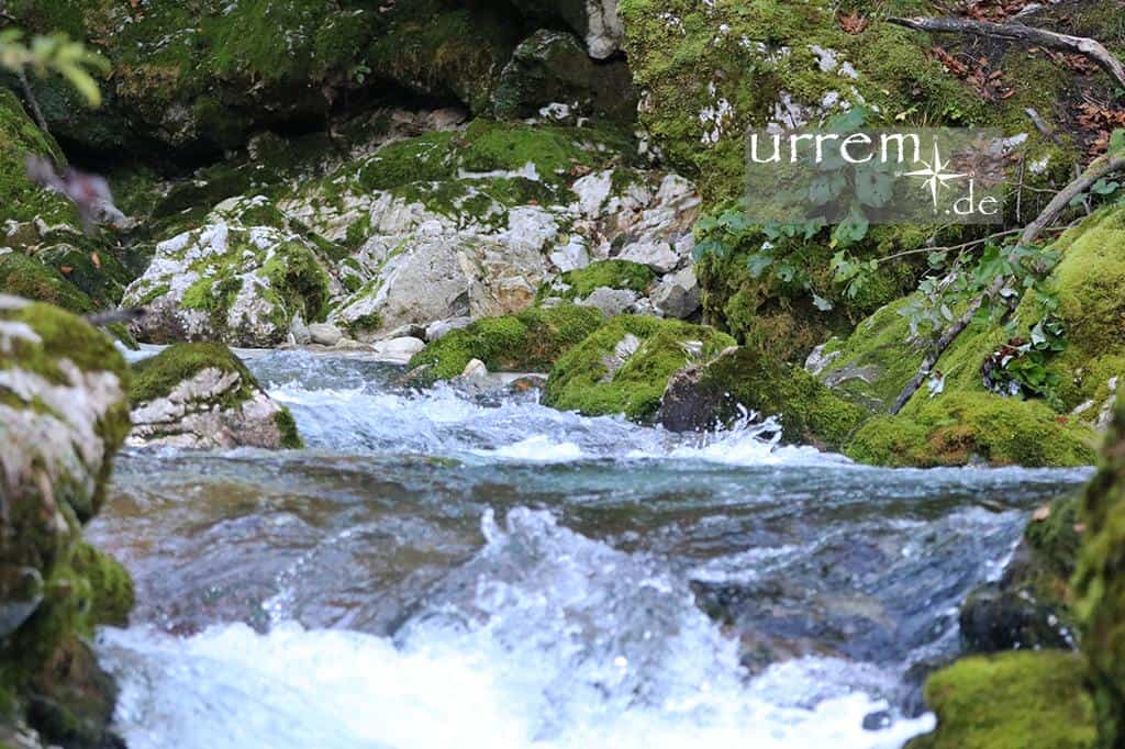 Neben Soca Tr&ouml;ge und Soca Schluchten gibt es im Socatal eine wildere Ecken (Wildwasser) im Triglav Nationalpark.